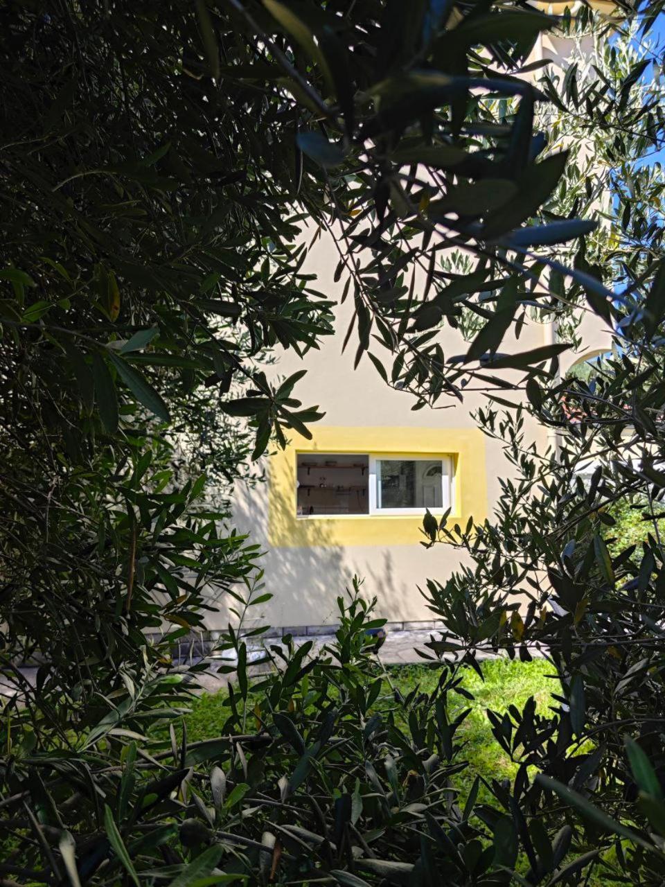 Apartmani Radovic ビエラ エクステリア 写真